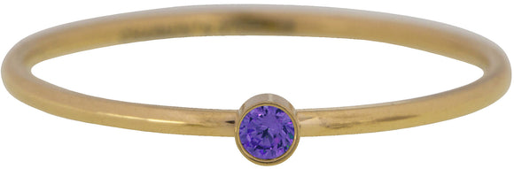 Charmin's - Ring Gold Met Geboortesteen Amethyst (februari)